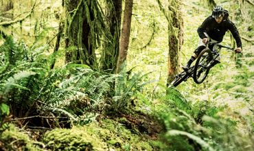 SRAM X01: All For One - THE NARROWS